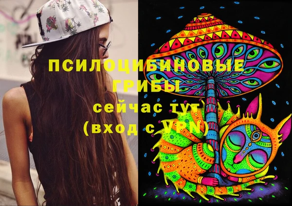 скорость mdpv Белокуриха